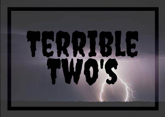 kiddo, parenting, toddler, terrible twos, sweet and cuddly, ignore, cry, irritable, personal, experience, 2 year old, baby, toddlerhood, little conquest, screaming, blog, 2018, emotional, love, patience, meltdown, public, home, life