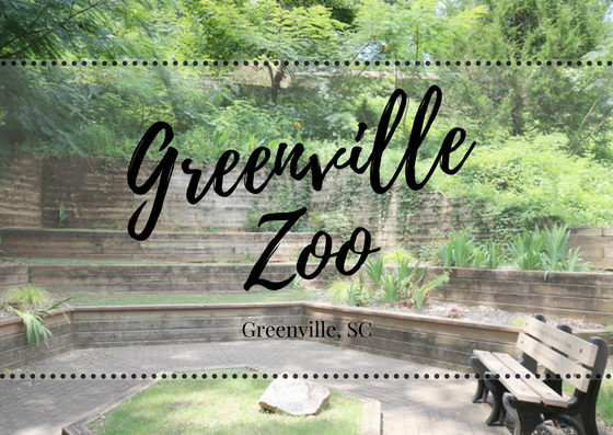 Greenville, SC, south carolina, upstate, things to do, with kids, Greenville Zoo, animals, exhibit, observatory, fun, family fun, family time, outside, outdoor, summer, entertainment, views, nature, places to go, places to see, educational, stroll, walk, exercise, venture, adventure, local, affordable, cheap, downtown, path, playground, park, children, 2018, year round, membership, different, worth it, parenting, motherhood, mom life, mom blogger, yeah that greenville