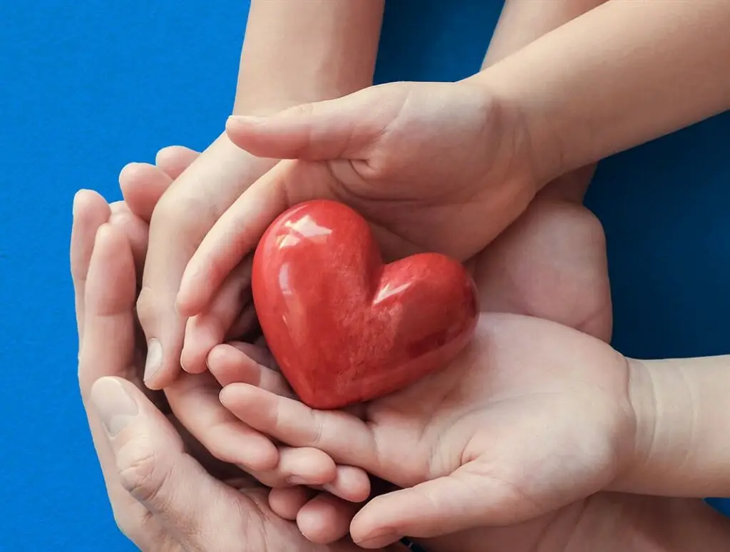 Three pairs of hands holding a red hearts. Background is the Mayshine blue with white Mayshine line elements.