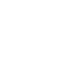 S8 - Fearless