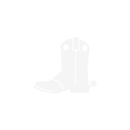 S9 - Quickdraw