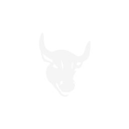 S9 - El Toro