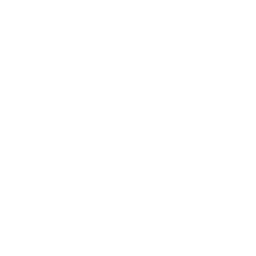 S9 - Linchpin
