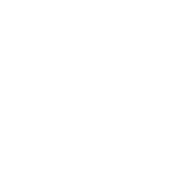 S9 - Interior Threat