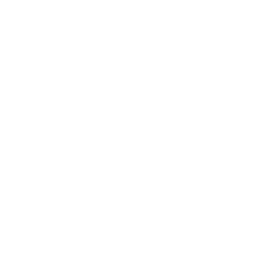 S9 - Omniscient