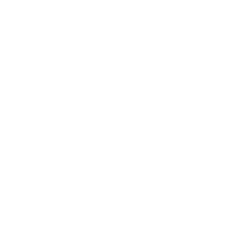 S9 - Run Protector