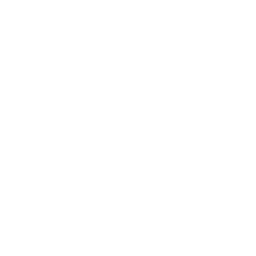 Brick Wall