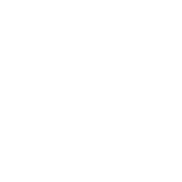 Frozen - Ankle Breaker XF