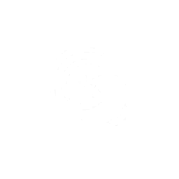 Satellite - Bronze