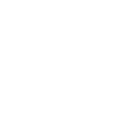 Vanguard