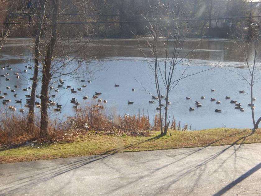 284 Racebrook Road Orange, CT 06477 ID 309422 MyEListing