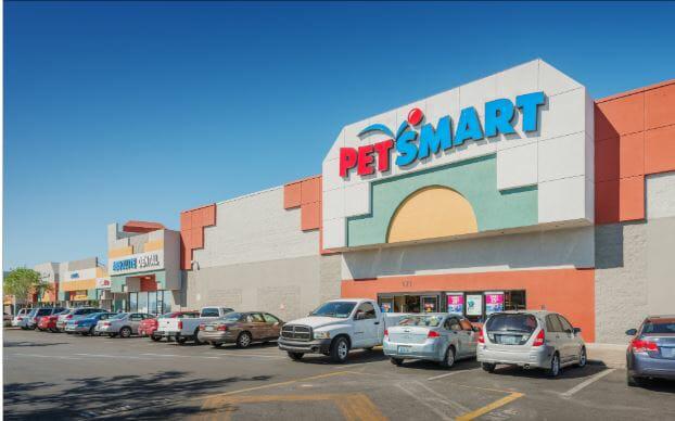 stuff your own dog bed