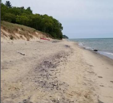 10244 Lost Valley Road Montague, MI 49437 | for Sale | Photo 2