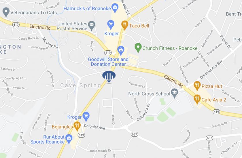 4202 Brambleton Avenue Cave Spring, VA 24018 ID 281471 MyEListing