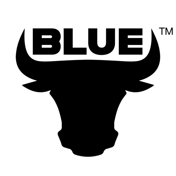 The Blue Ox Group's (Houston, TX) Commercial Real Estate Agency