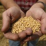 monsantoclimate12615-e1449698296689
