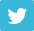 twittericon