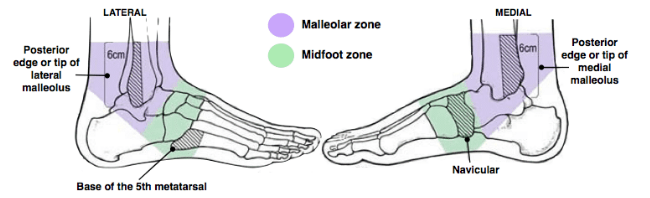 Medial & Lateral Ankle Profile