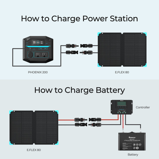 Renogy E.FLEX 80 Portable Solar Panel