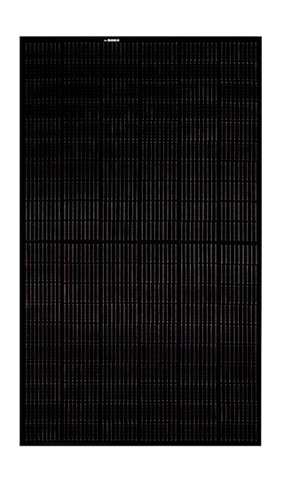 REC TwinPeak4 365W Black 120 Half-Cut Mono Module