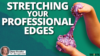 Stretching Your Professional Edges
