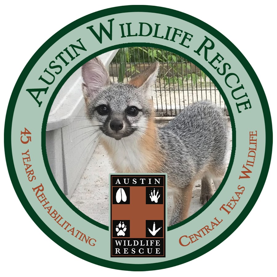Austin Wildlife Rescue Logo