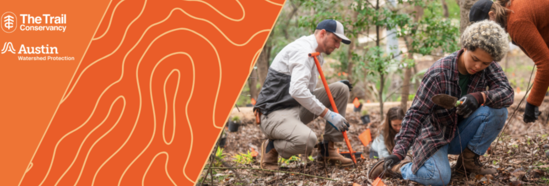 Native Seeding And Planting