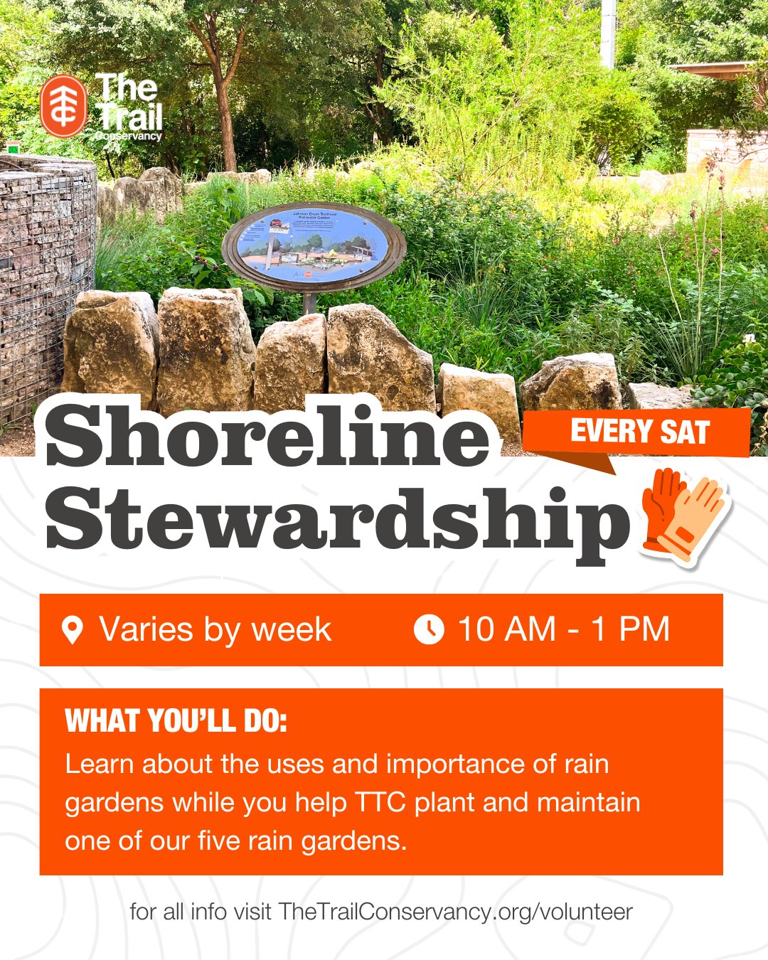 Shoreline Stewardship