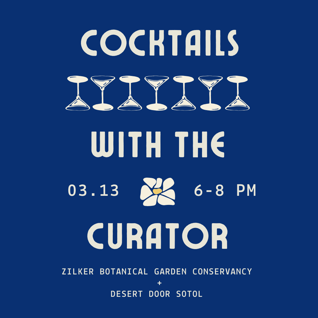 Cocktails With The Curator