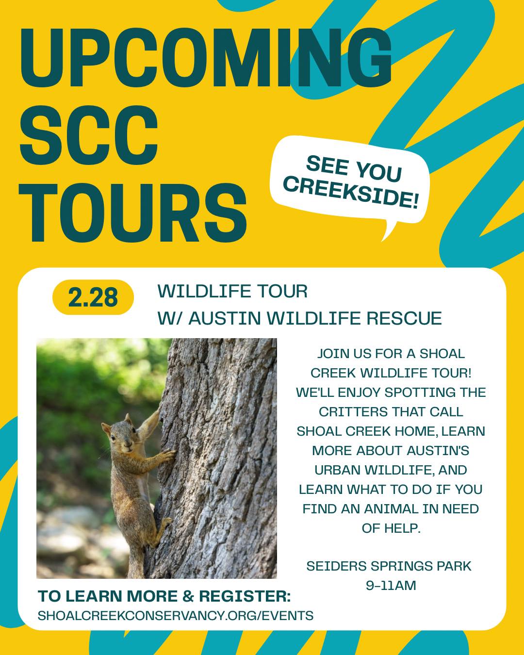 Wildlife Tour