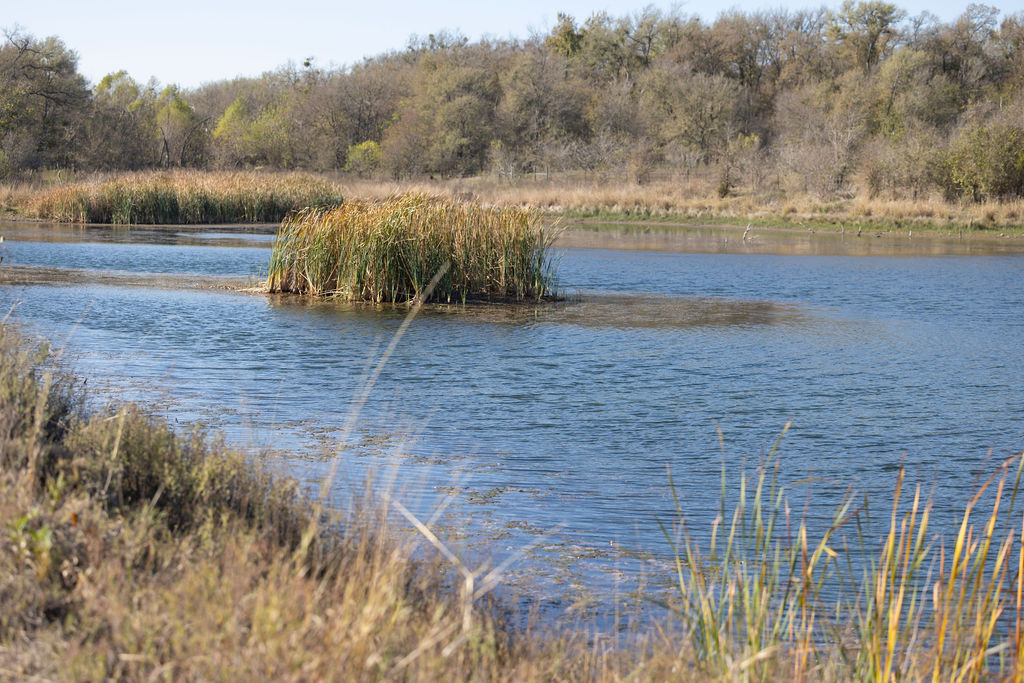 Stream Ecology
