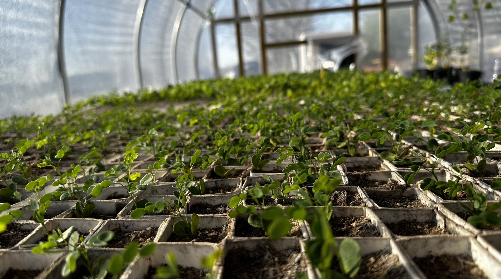 Soil Health