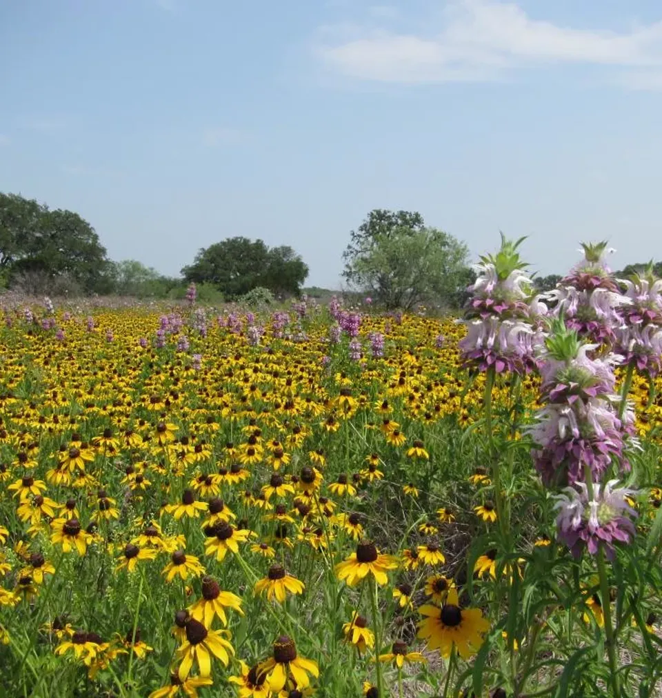 Water Quality Protection Lands