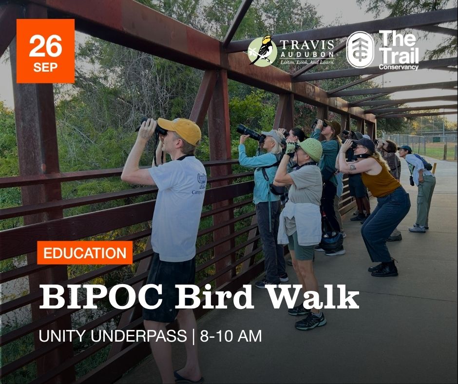 BIPOC Bird Walk