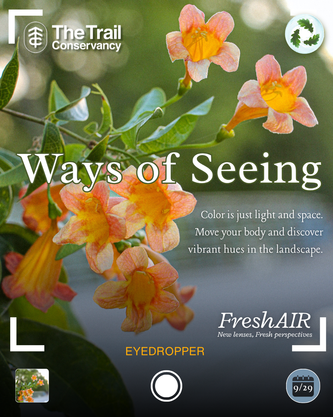Ways Of Seeing
