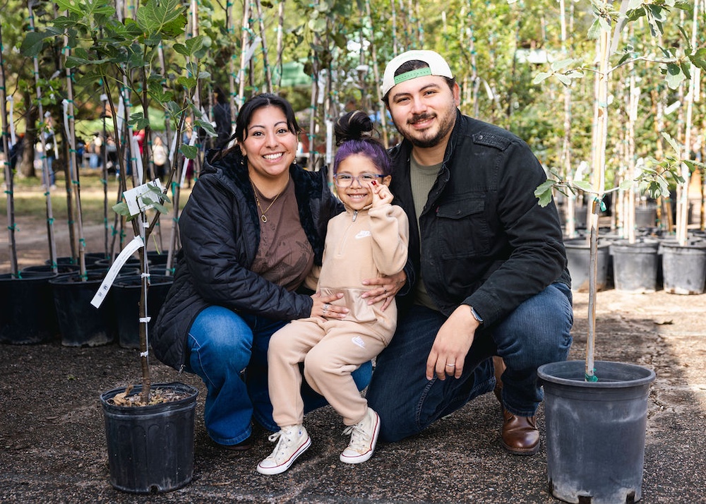 Bartholomew Tree Adoption
