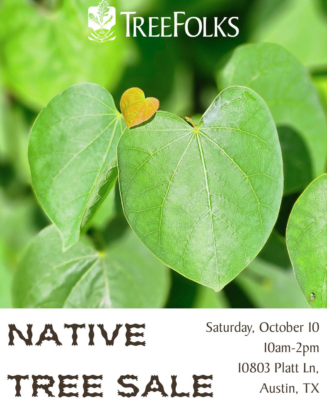 Native Plant Sale