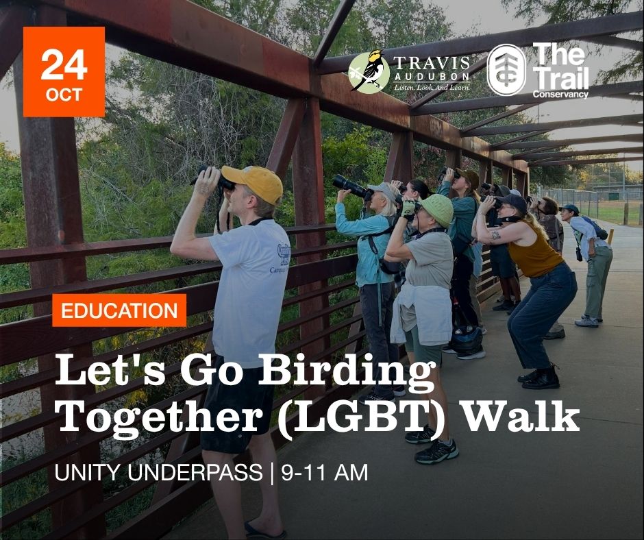 Let’s Go Birding Together (LGBT) Bird Walk with Travis Audubon — Outdoors & nature in Unity Underpass · Austin, TX