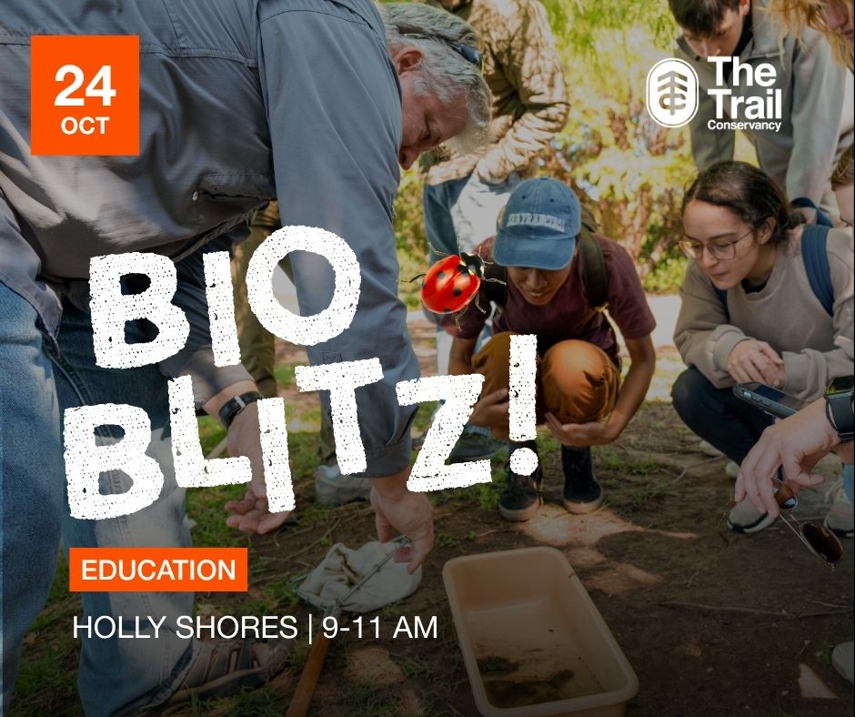 BioBlitz at Holly Shores — Outdoors & nature in Holly Shores Park · Austin, TX