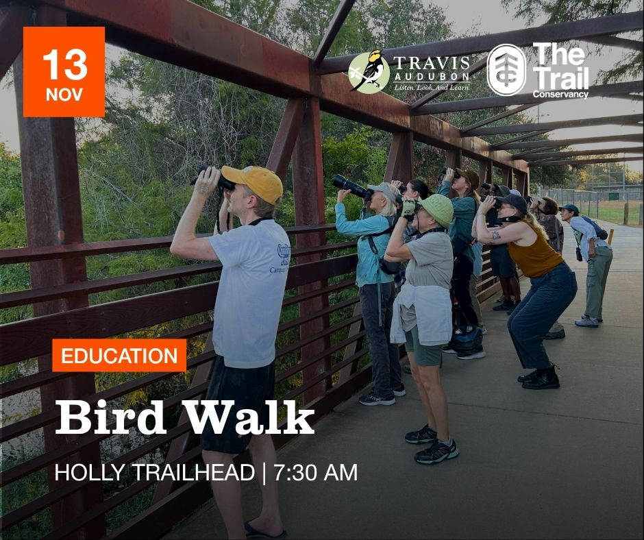 Bird Walk with Travis Audubon — Outdoors & nature in Holly Shores Trail Overlook · Austin, TX