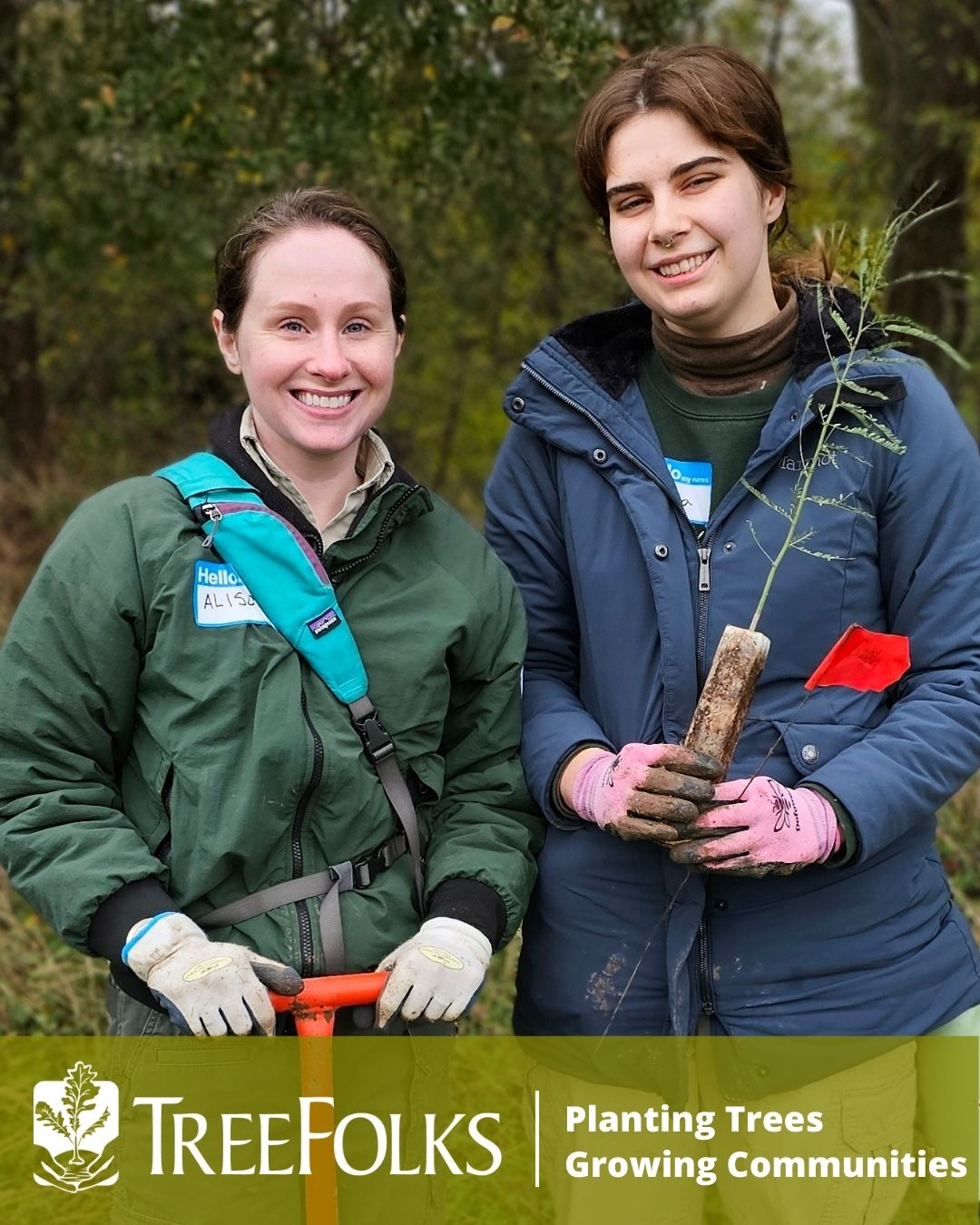Tree Planting