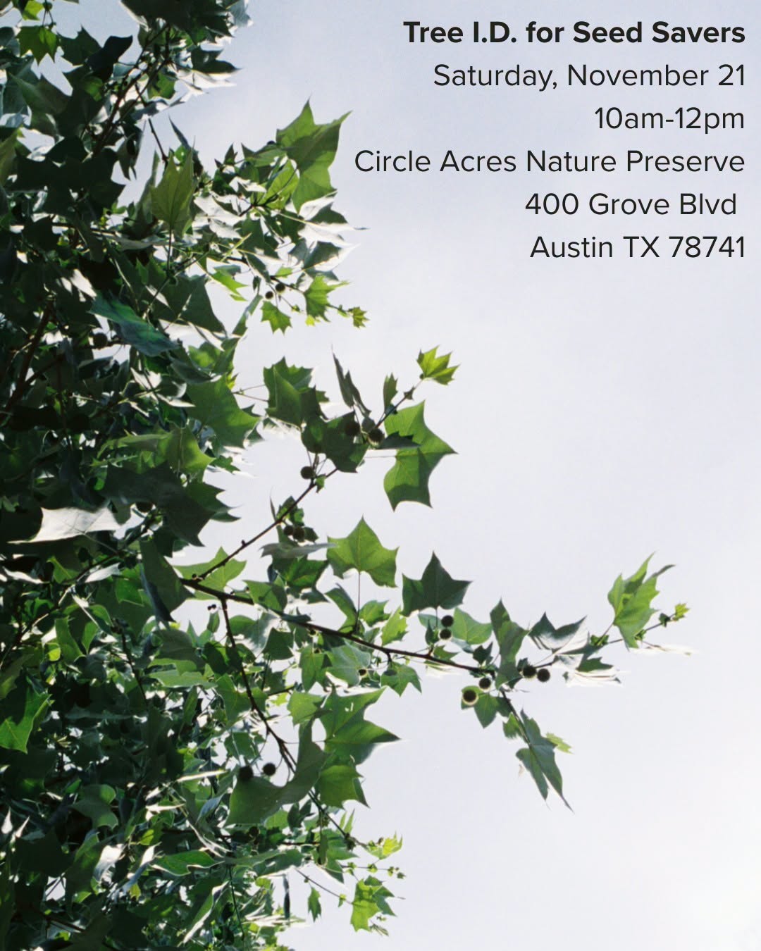 Tree ID For Seed Savers Circle Acres