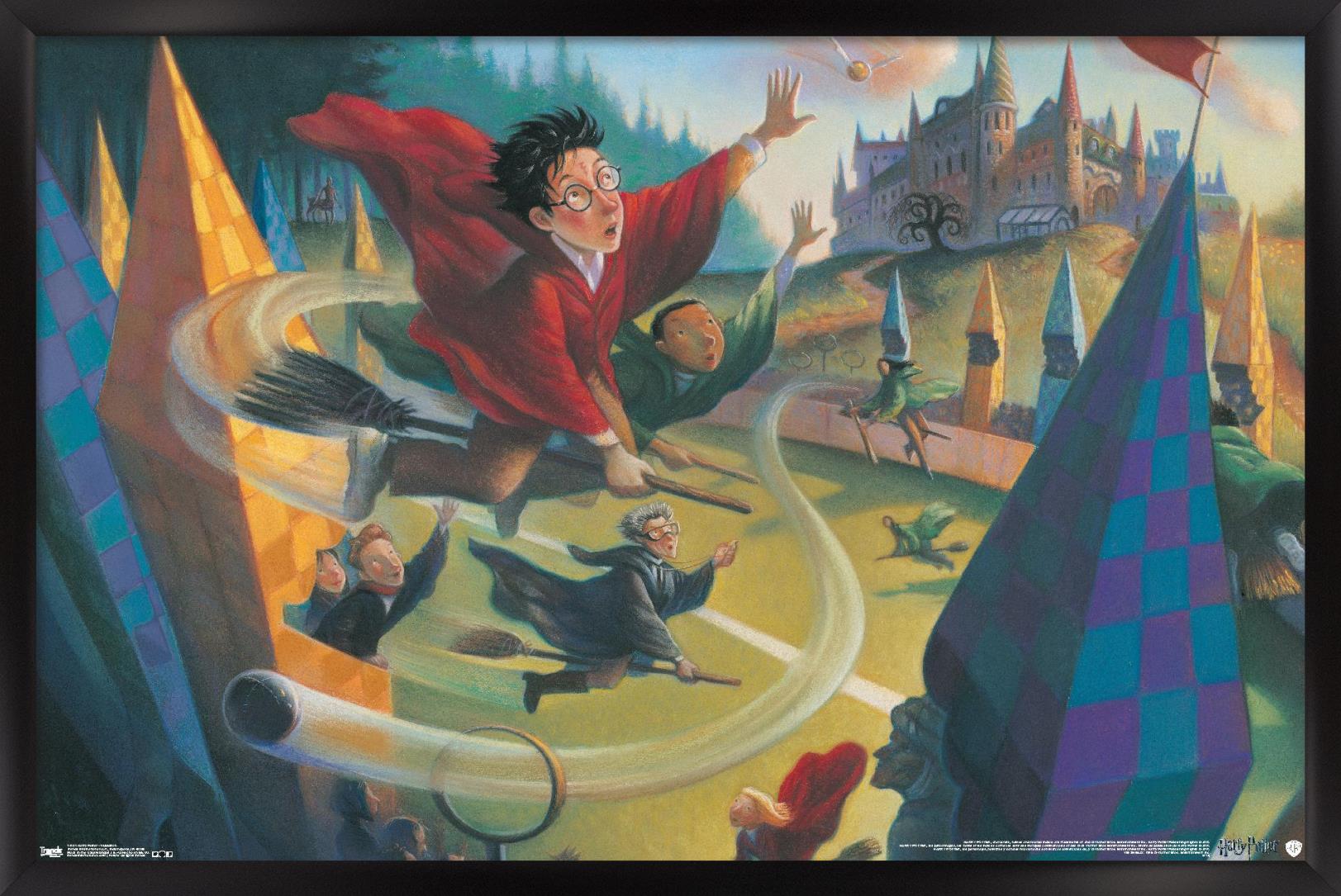 The Wizarding World: Harry Potter – Illustrated Quidditch 14×22 Poster