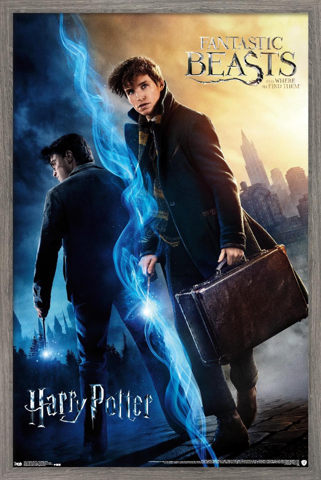 The Wizarding World: Harry Potter and Fantastic Beasts 14x22