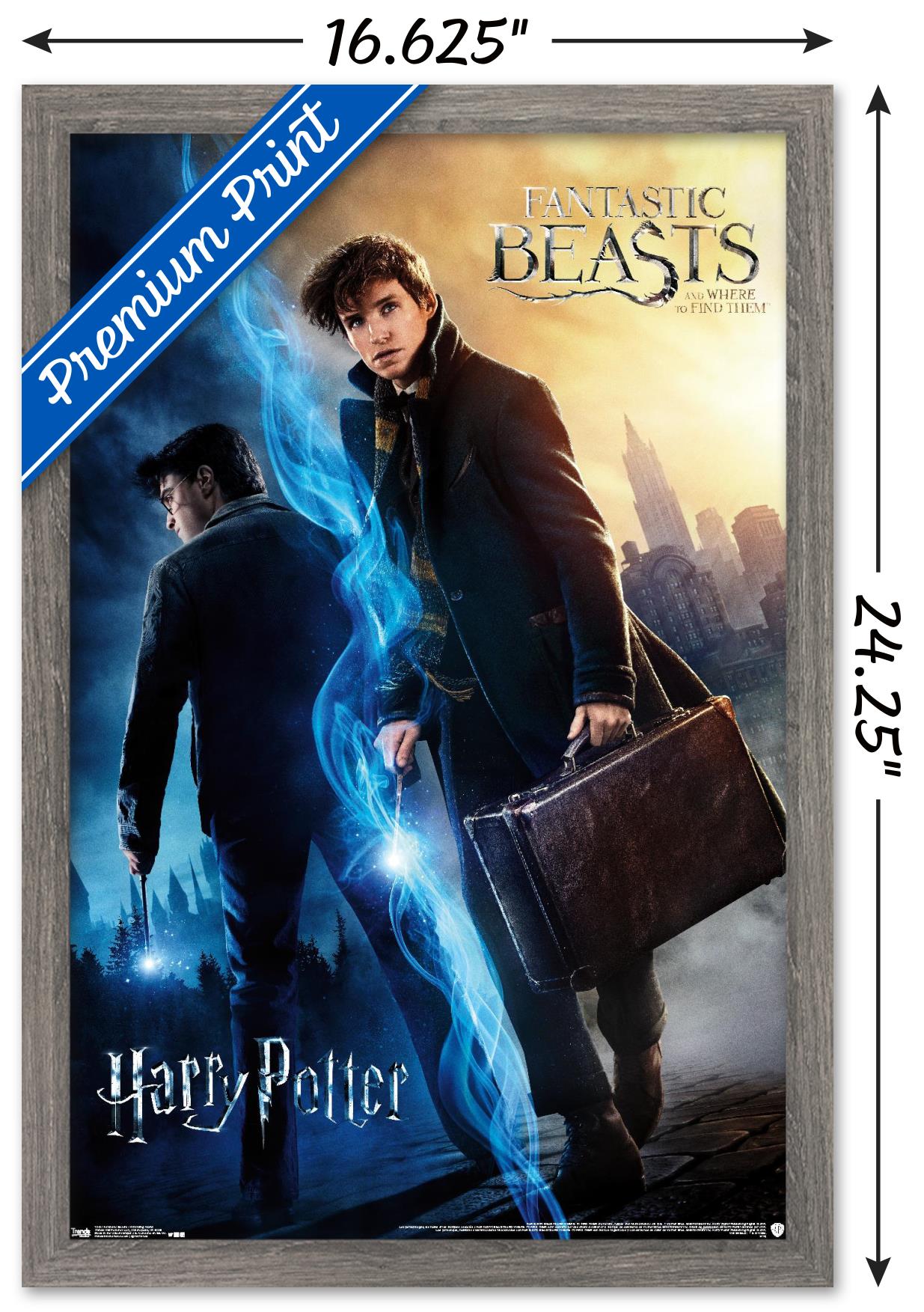 The Wizarding World: Harry Potter and Fantastic Beasts 14x22