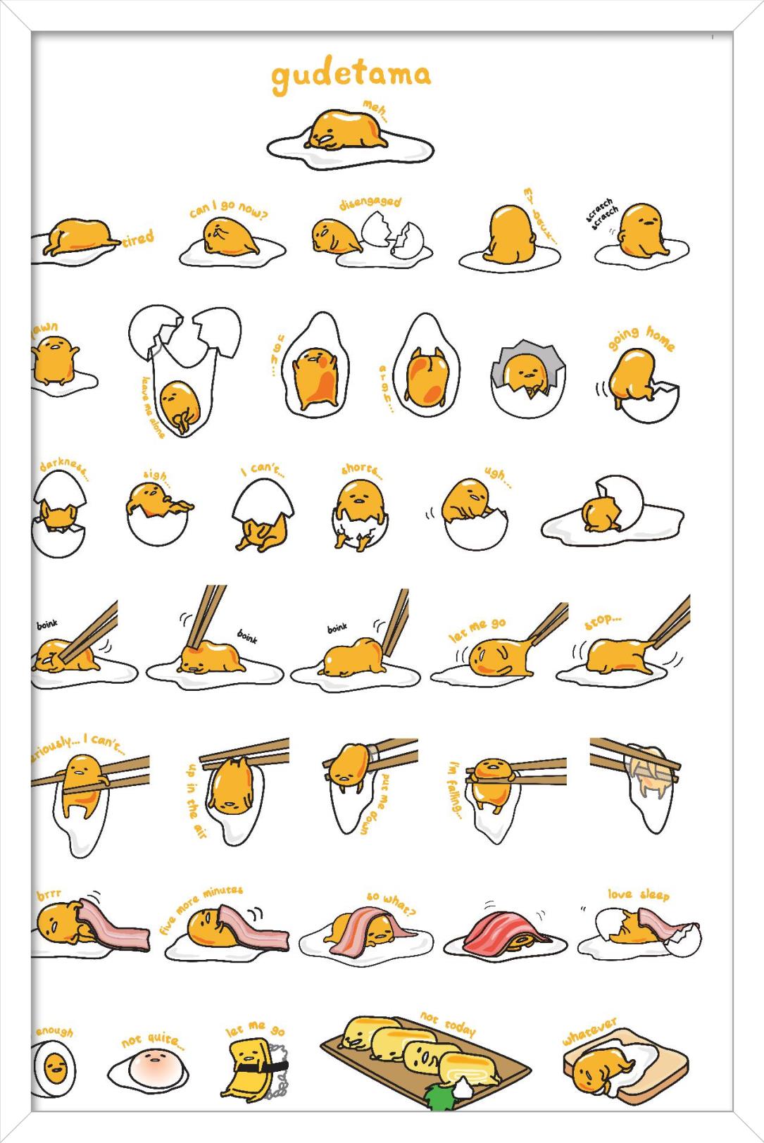 16076-WHT22X34IMAGE1.jpg
