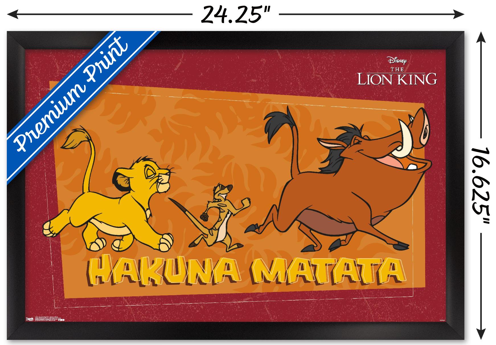 Imagen 4 de 43