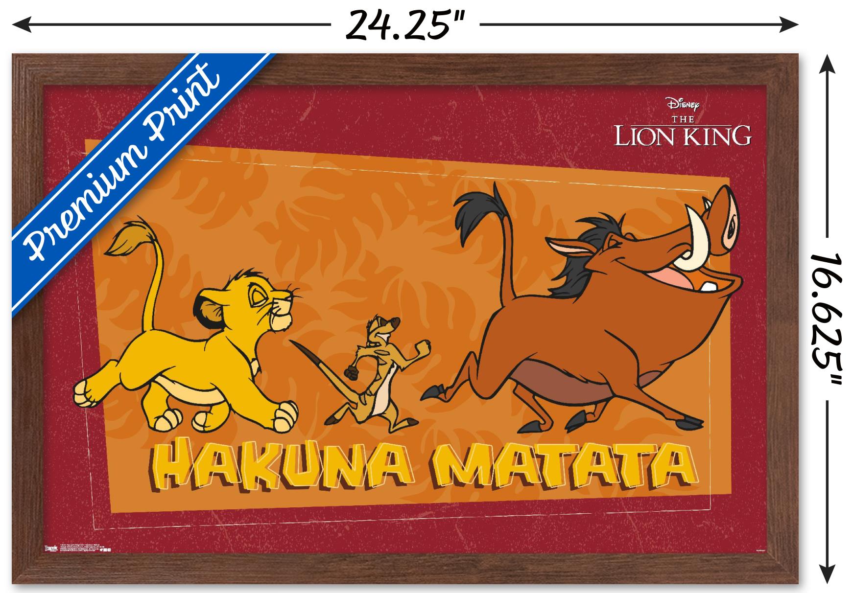 Imagen 28 de 43