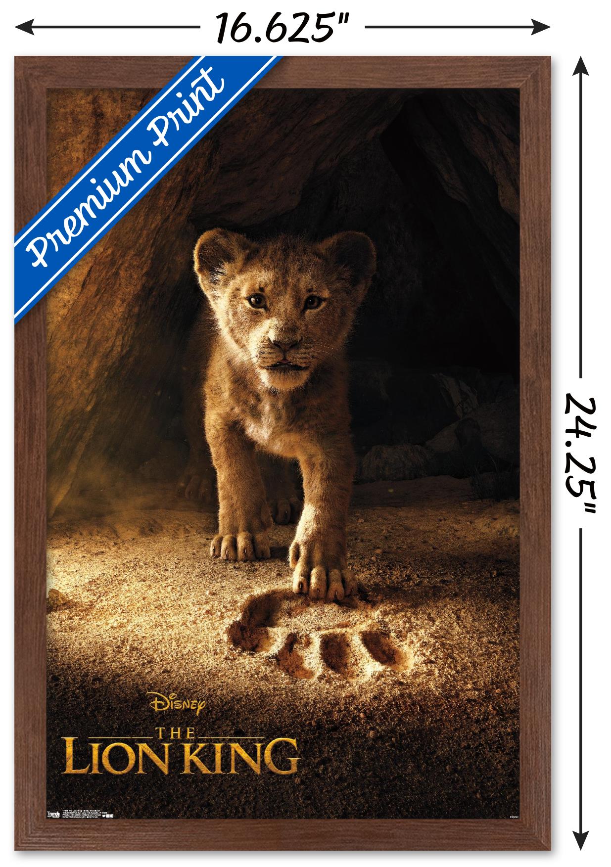 Bild 28 von 43