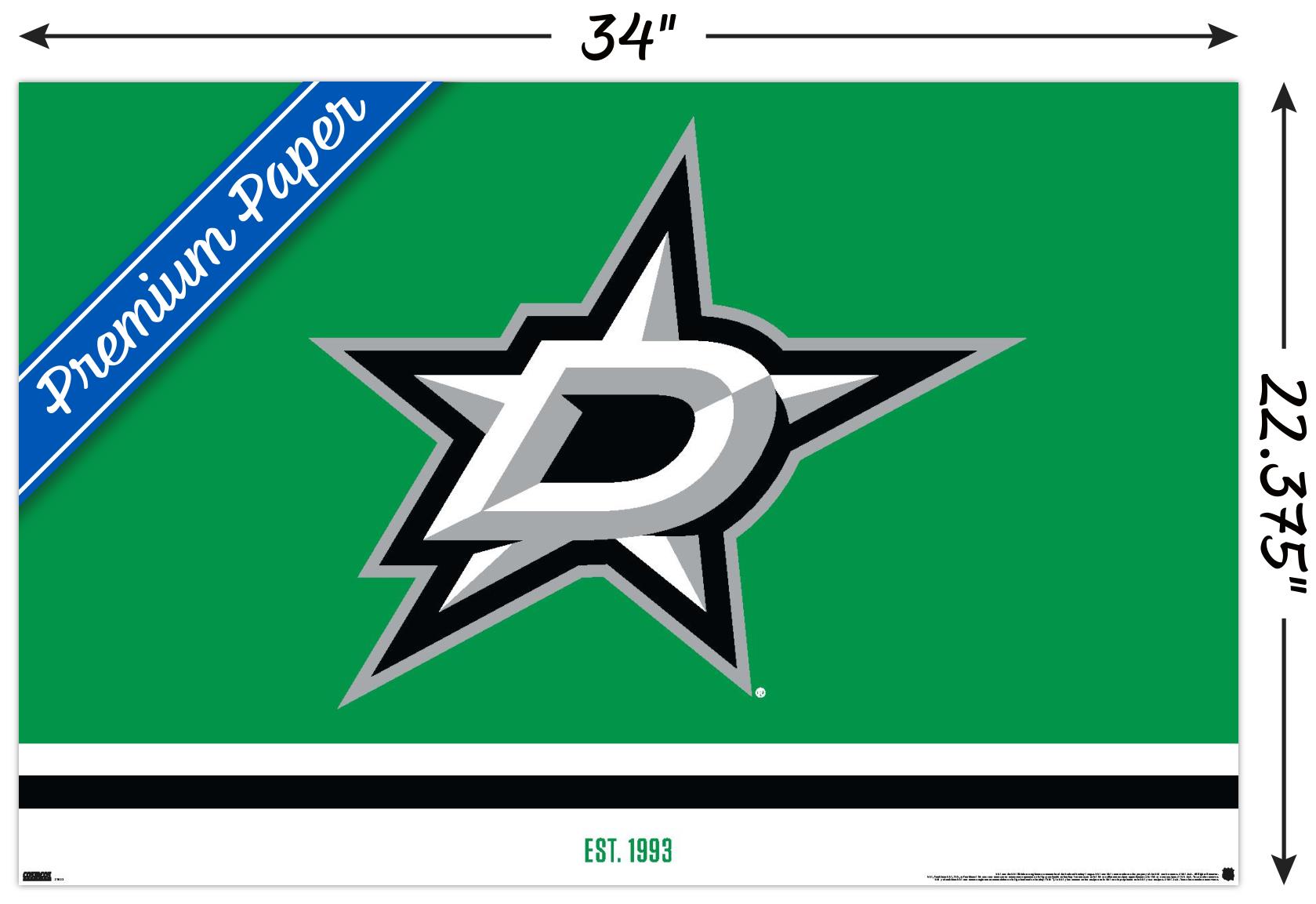 NHL Dallas Stars - Logo 21 - Poster - Picture 3 of 4